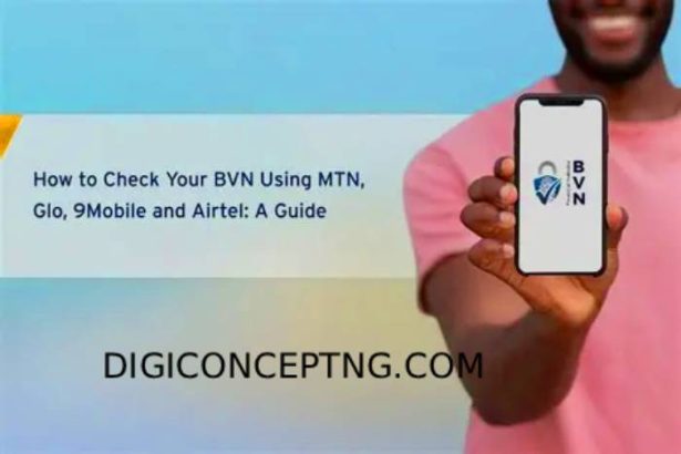 How to check Bank verification Number (BVN) | Digiconceptng