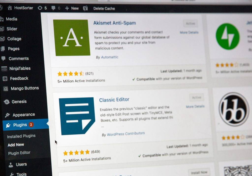 Customized WordPress Websites