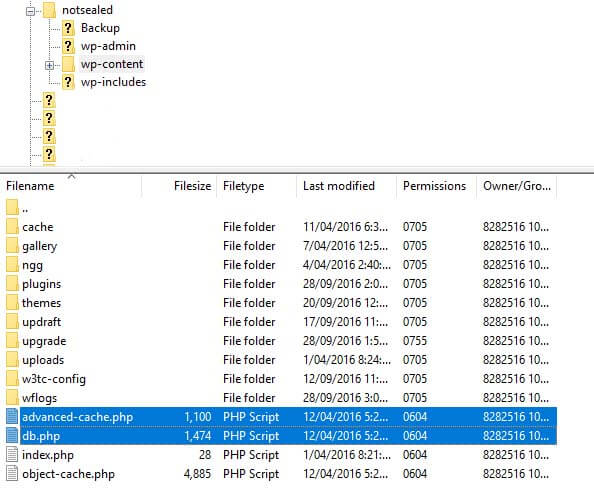 wp cache from cpanel