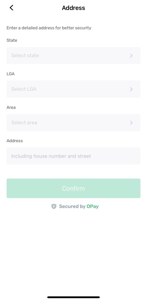 Opay Address