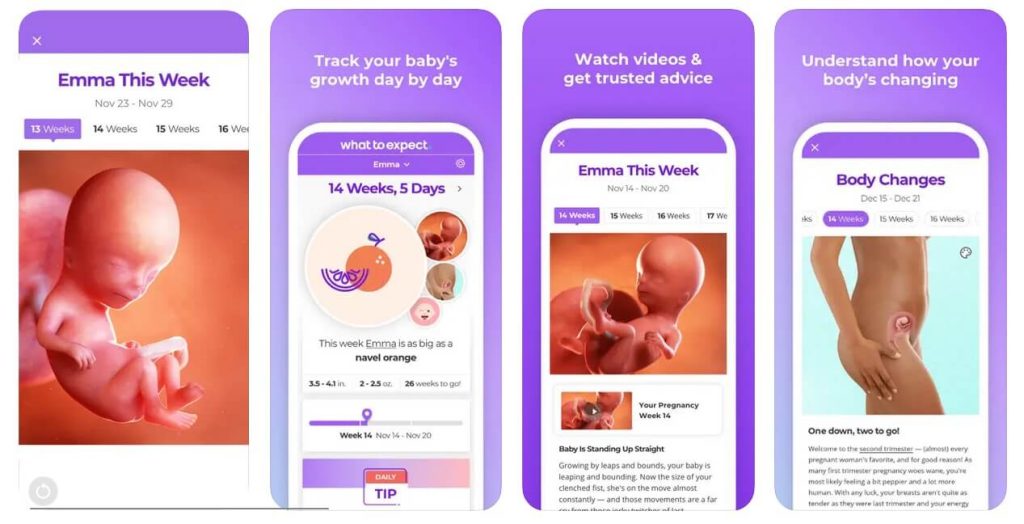 Pregnancy & Baby Tracker - WTE