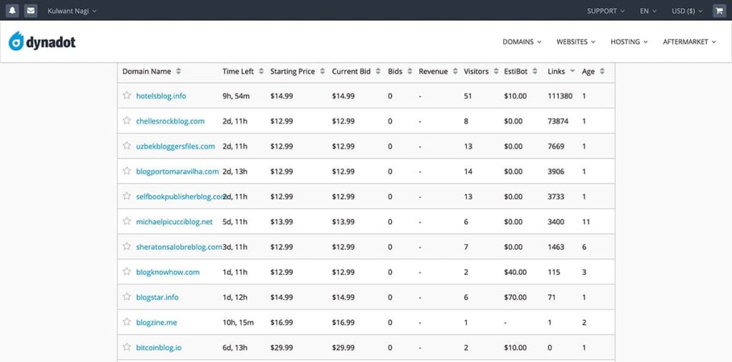 Expired-Domain-Auctions
