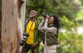 17750588466434910116580256165627