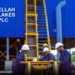 17752920479702449169939576982973