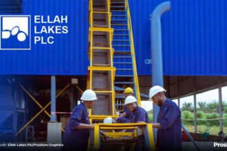 17752920479702449169939576982973