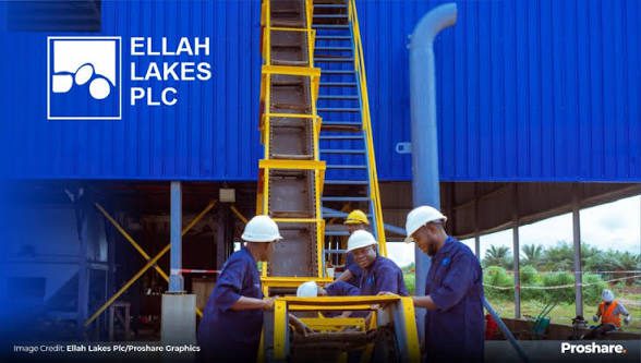 17752920479702449169939576982973