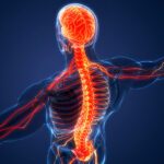 17753228715956005975074473062028