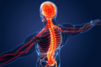 17753228715956005975074473062028