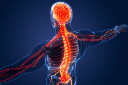 17753228715956005975074473062028