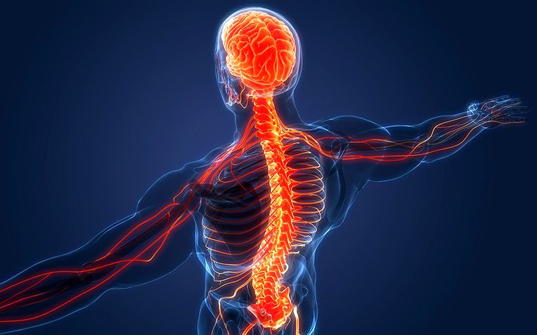 17753228715956005975074473062028