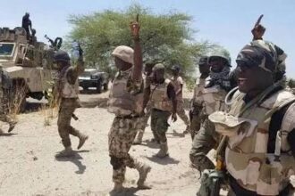 17757582085427784649790556560371