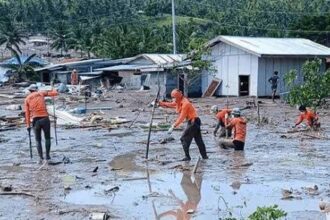 17763275195023087158061522121803 1