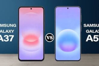 17763517945806026543276703383479