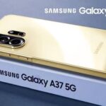 17763563623632609004781392206019