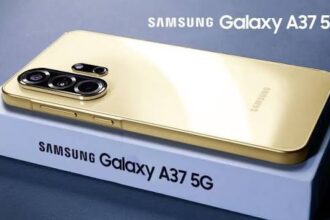 17763563623632609004781392206019