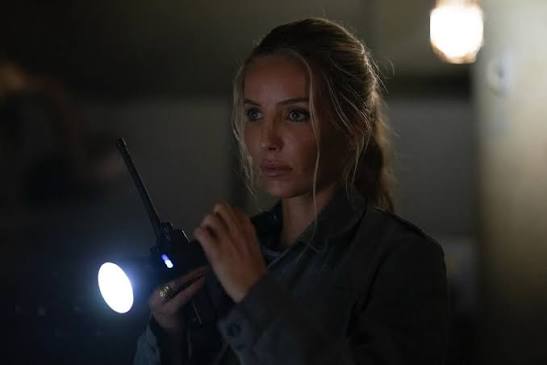 17767015024005624147636057654628