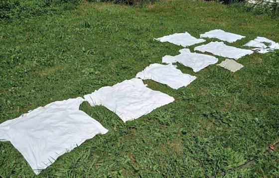 17767499681372868322048075211373