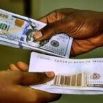 17767573501369097375489700490124