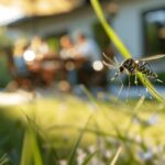 17768358927492363398799140351797