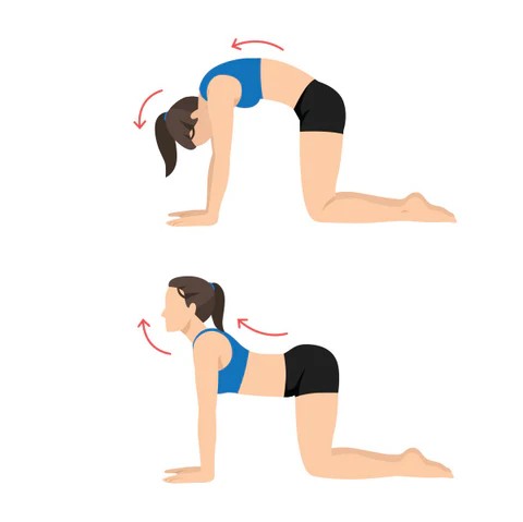 17769251508185425221360965883581