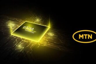 17771569833365112292043374933846