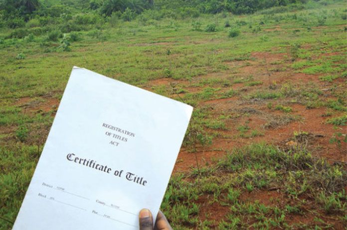 Certificate of land registration 