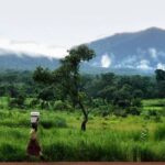 17772757309811932363640514131293