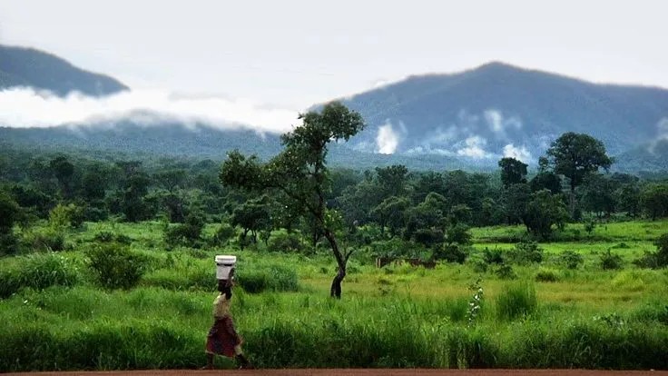 17772757309811932363640514131293