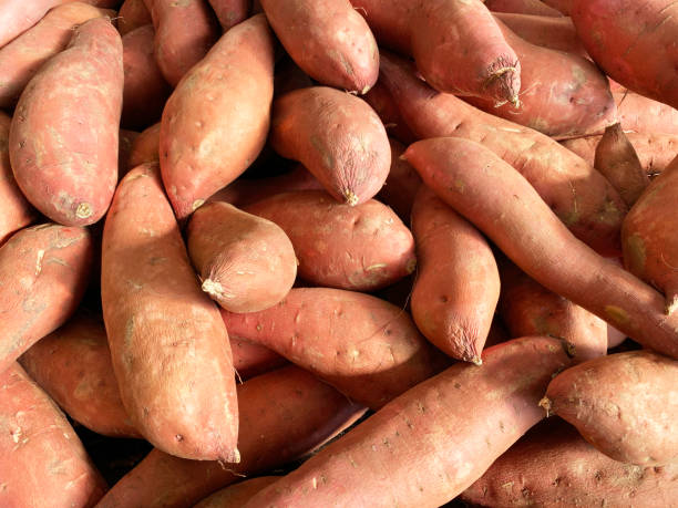 Foods That Naturally Improve Your Vision