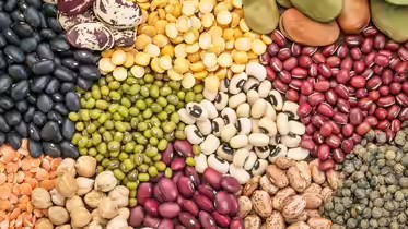 Foods That Naturally Improve Your Vision