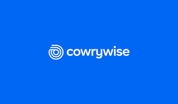 Cowrywise - Best Budgeting Apps for Freelancers with Irregular Income
