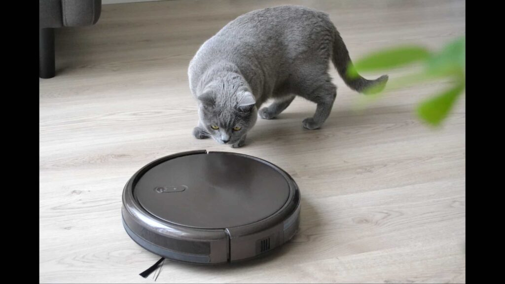 Best Robot Vacuums for Pet Hair