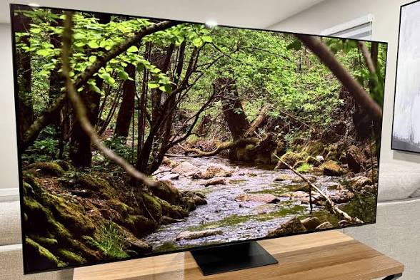 Samsung S95F OLED TV 