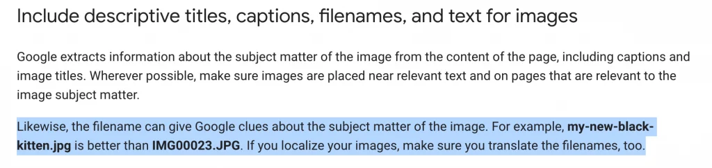 google-file-name-image-caption-advice